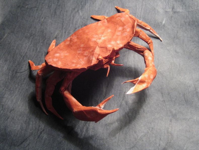 [insect_origami_06.jpg]