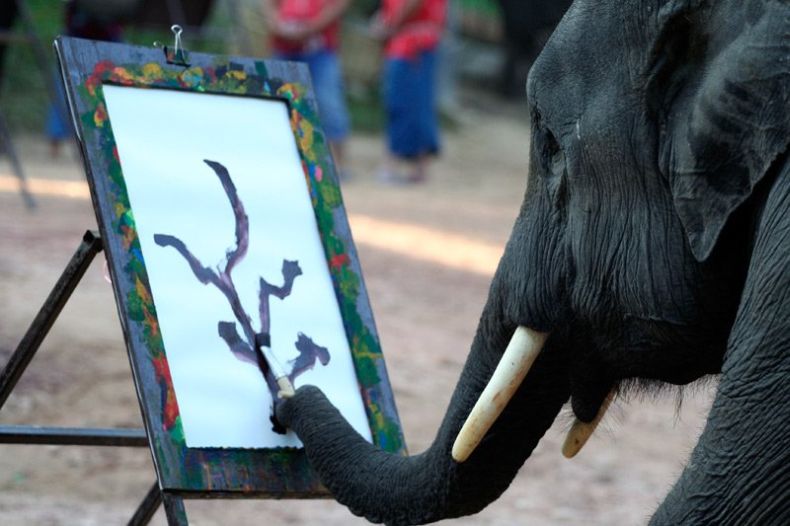 [elephant_artist_02.jpg]
