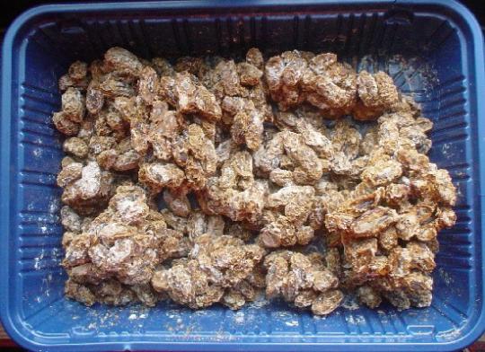 [rotten-soy-beans.jpg]