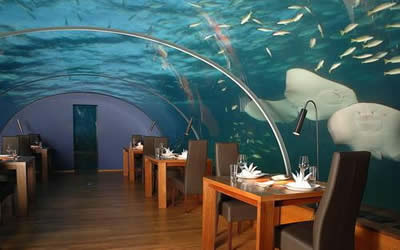 [Weirdest-Restaurants-10.jpg]