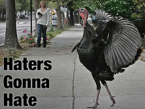 These 10 Turkey Memes are Perfect for Thanksgiving