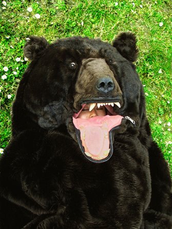 [bear-bag-01.jpg]