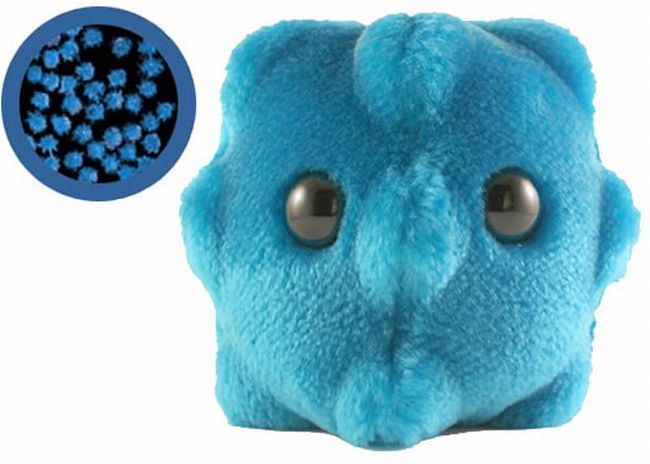 [Plush_Toy_Microbes_06.jpg]