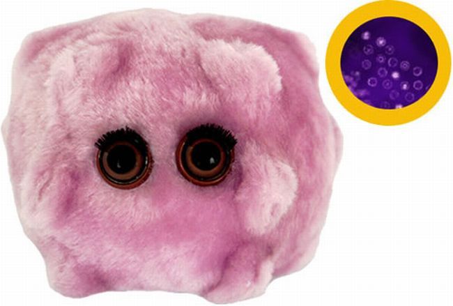 [Plush_Toy_Microbes_13.jpg]