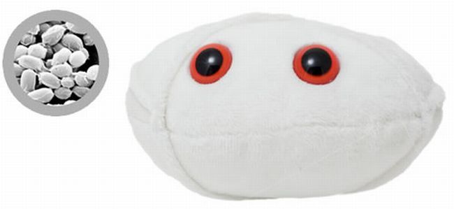 [Plush_Toy_Microbes_01.jpg]