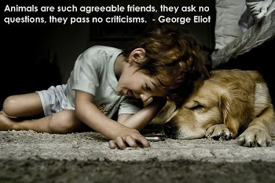 Cool Inspirational Pictures on Inspirational And Motivational Posters Damn Cool Pictures