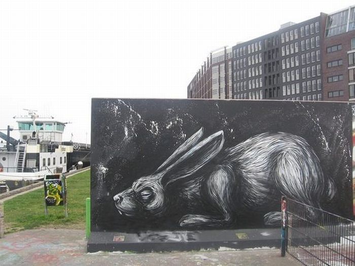 Graffiti Soul Animal Graffiti By Roa From Belgium Part 3