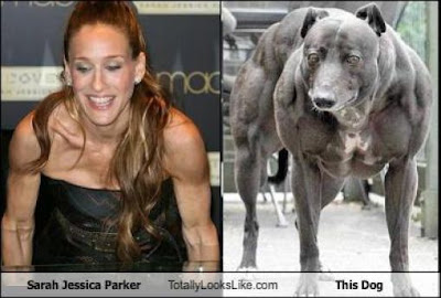 تشابه واضح جدا  تشابه واضح جدا