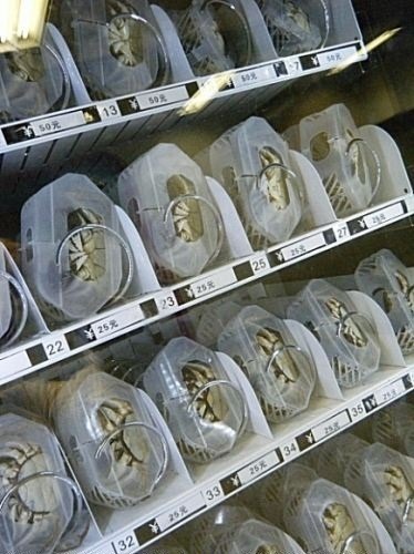 http://4.bp.blogspot.com/_mmBw3uzPnJI/TOEFxLz0ObI/AAAAAAABvsc/dAxuAEdI_CI/s1600/live_crab_vending_machine_06.jpg