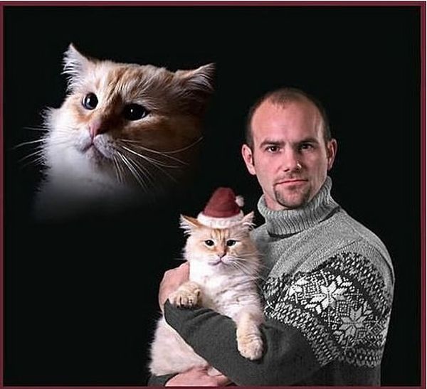 Awkward Family Christmas Cards