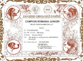 Romania Junior Champion
