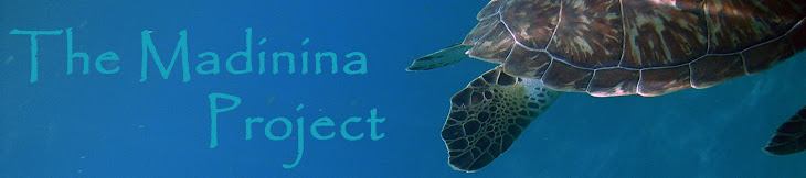 The Madinina Project