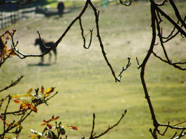 [PB250108.JPG]