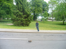 Chasing Squirrels.