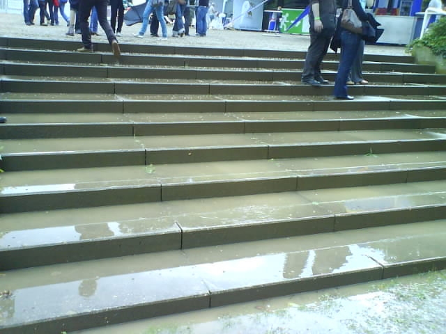 [DSC00620.JPG]
