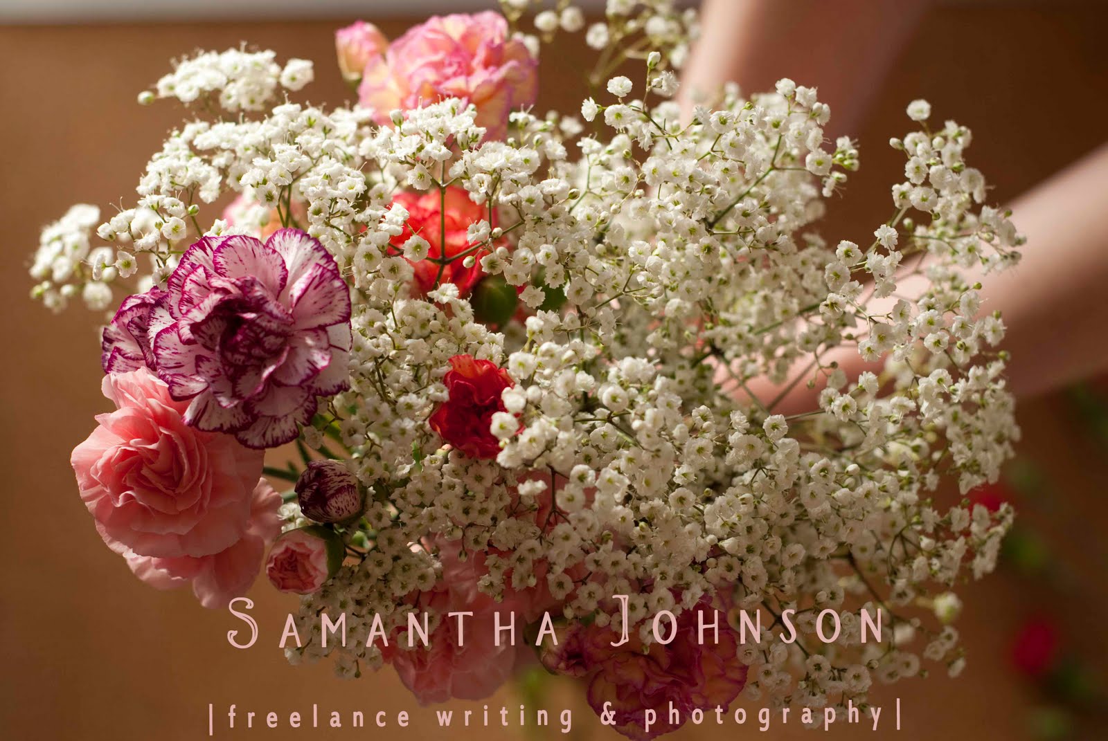 Samantha Johnson, Freelance Writing, Editing, & Photography
