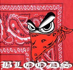 135 piru blood knowledge