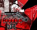 blood piru knowledge, blood gangs