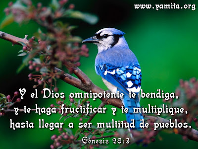 Viernes de Dolores Y+el+Dios+omnipotente+te+bendiga