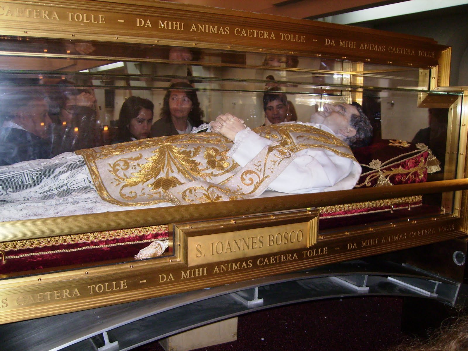 Don Bosco Body