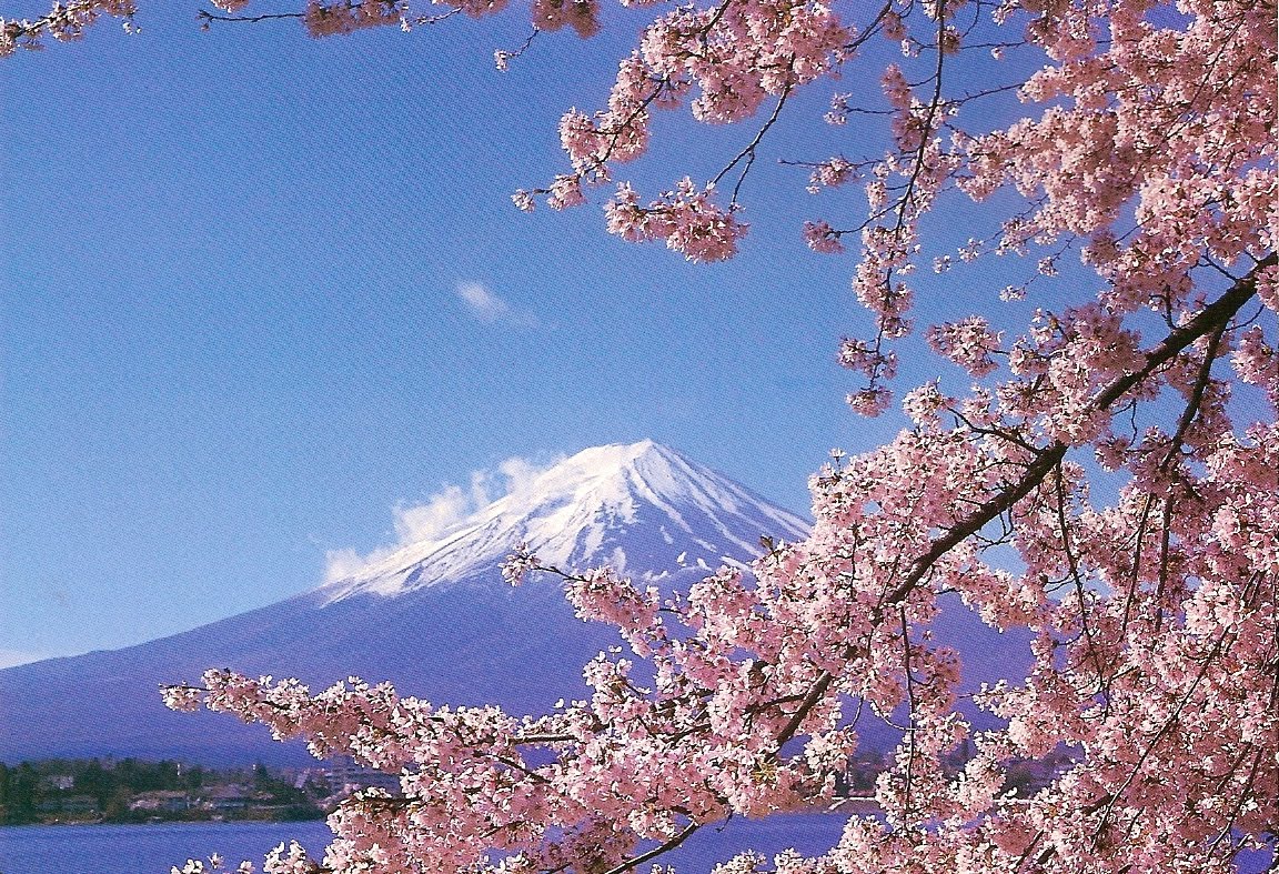 http://4.bp.blogspot.com/_mp9CtG552wo/S-F6iXMHRoI/AAAAAAAAAY4/FfuFwgKrkRw/s1600/1995%2BNHK%2BR%2BJapan%2BSpring%2BQSL.jpg