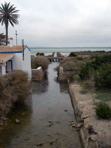 [Formentera4.jpg]