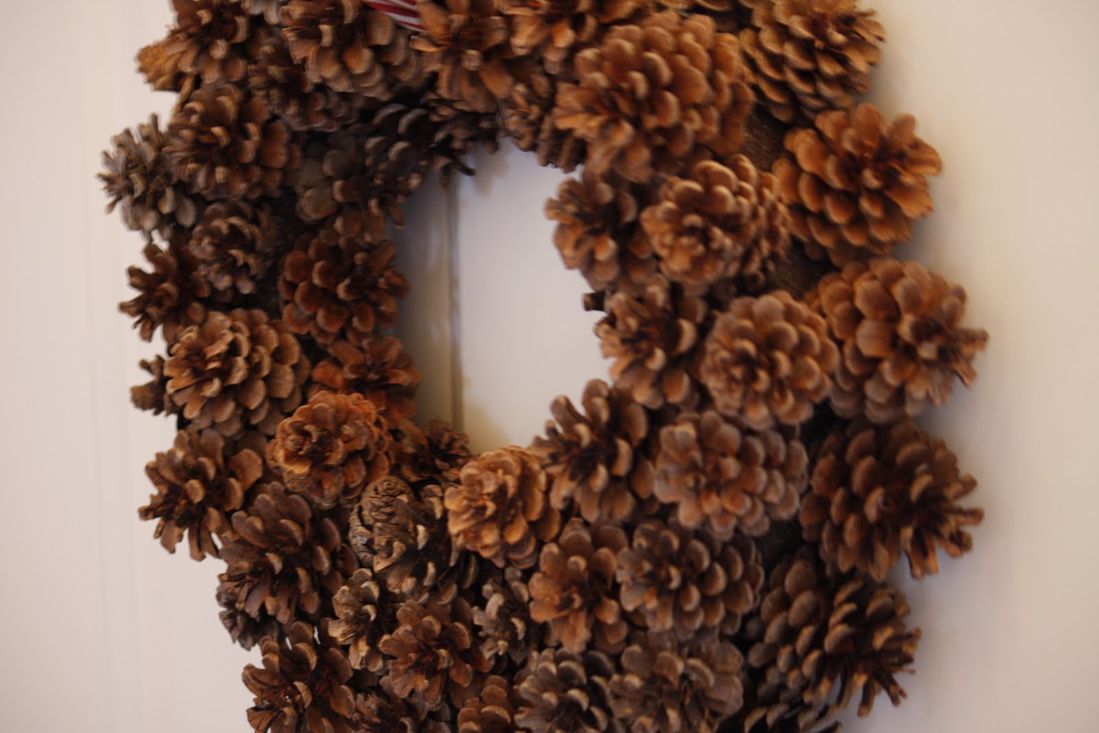 Enjoy All Life Has to Offer! DIY How to Create a Pinecone Wreath