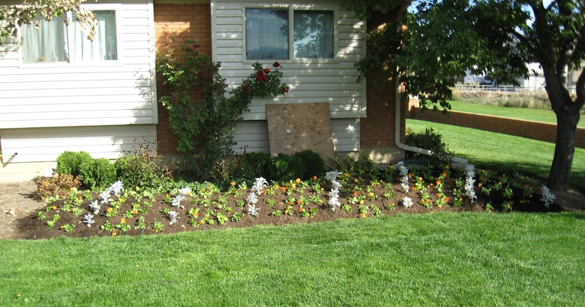 Utah Sustainable Gardening Fall Flowers