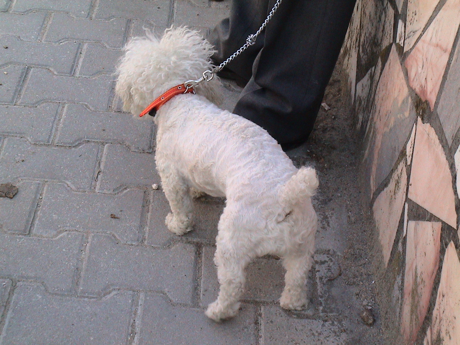 [DSC02501.JPG]