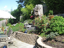 View from the swing
