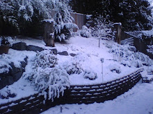 Snow Backyard