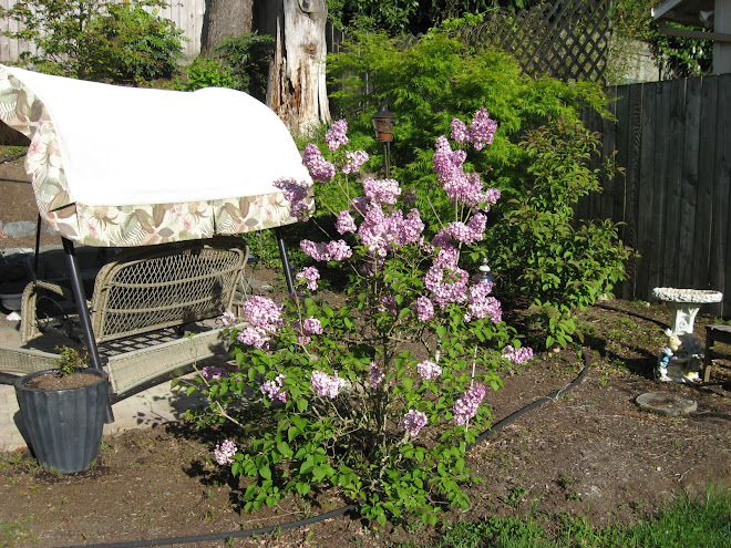 Again, spring