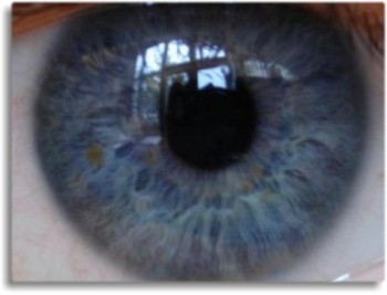 Маньяки - серийные убийцы