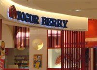 Yogur Berry