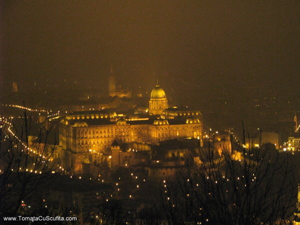 [31+decembrie+2008+076.jpg]