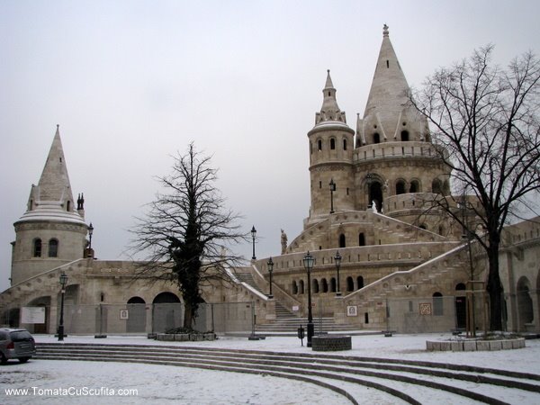 [01+ianuarie+2009+149.jpg]