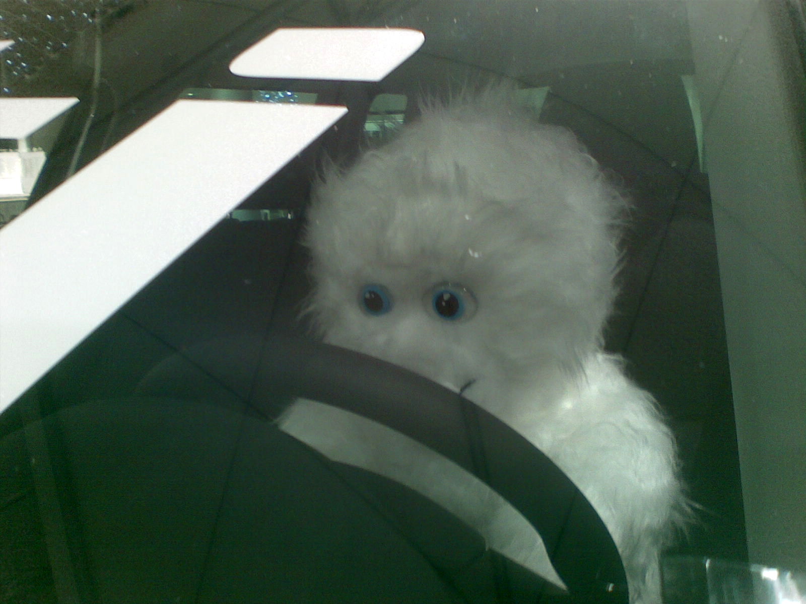 [yeti_la_volan_2.jpg]