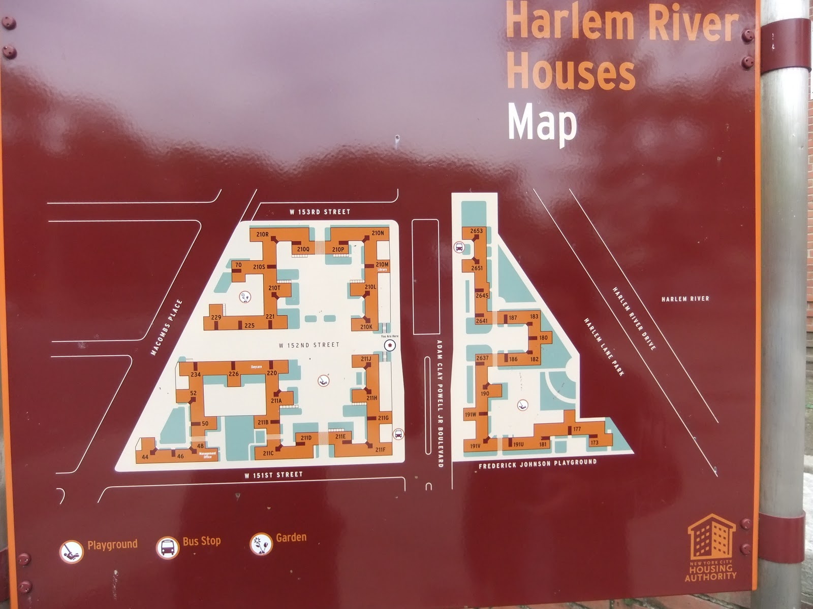 AARBORETUM 2 Hour Field Trip To Harlem River Houses