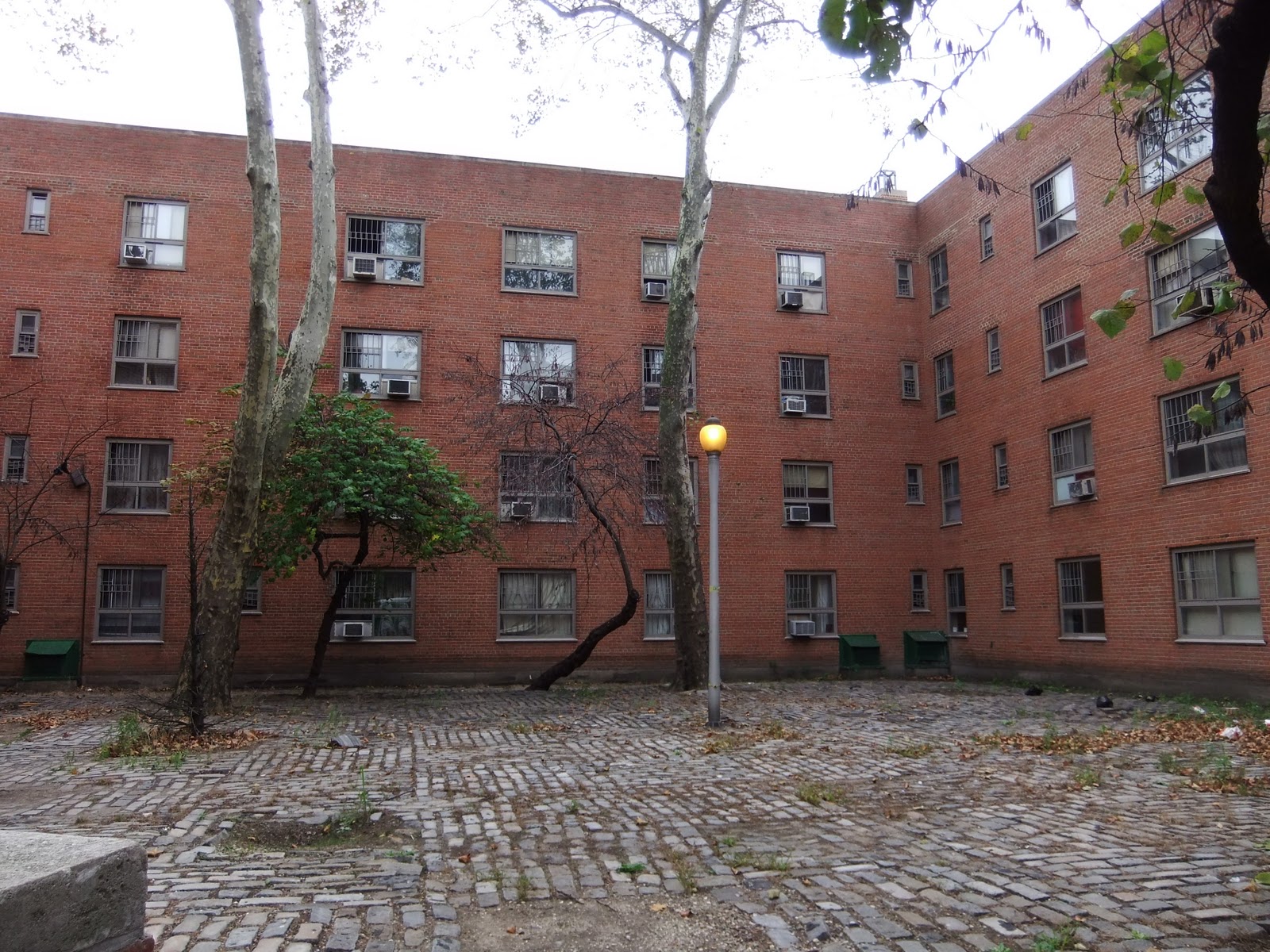 AARBORETUM 2 Hour Field Trip To Harlem River Houses