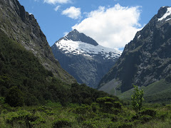 along road to milford sound