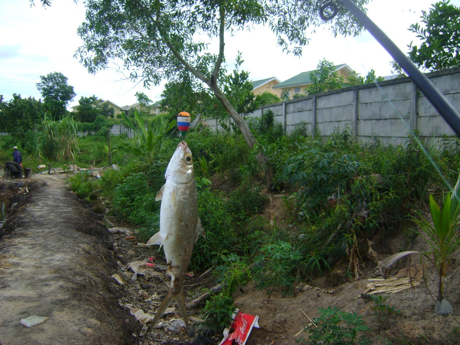 mancing ikan