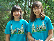 Kangaroo Field Trip - Can't leave without the T-shirt!