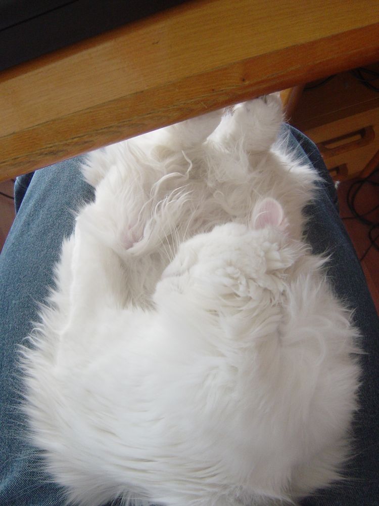 [siesta3.JPG]