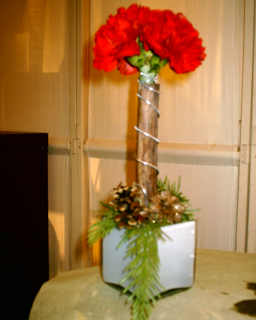 montrealflorist,Fleuriste Montreal Quebec Canada Carnations Topiary