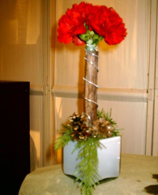 montrealflorist,Fleuriste Montreal Quebec Canada Carnations Topiary