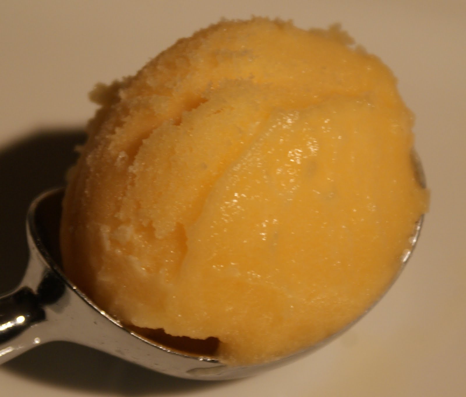 [dsc02819+(Modified).jpg]