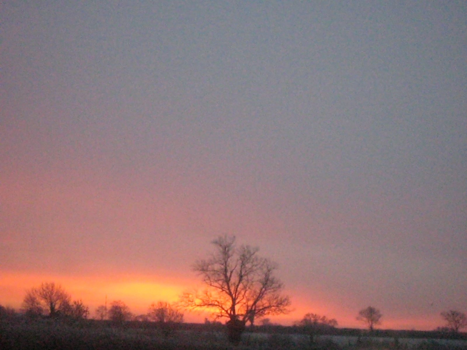 [IMG_4845.JPG]