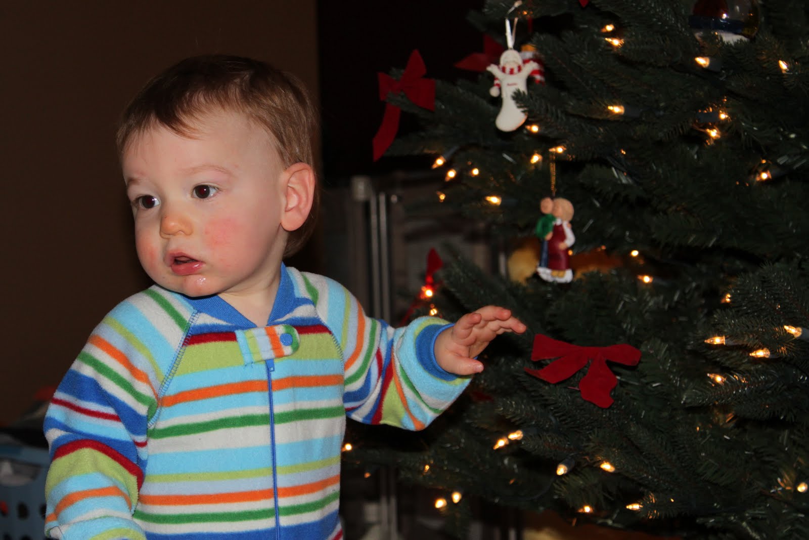 [Austin+13mo+585.jpg]