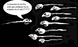 raro raro