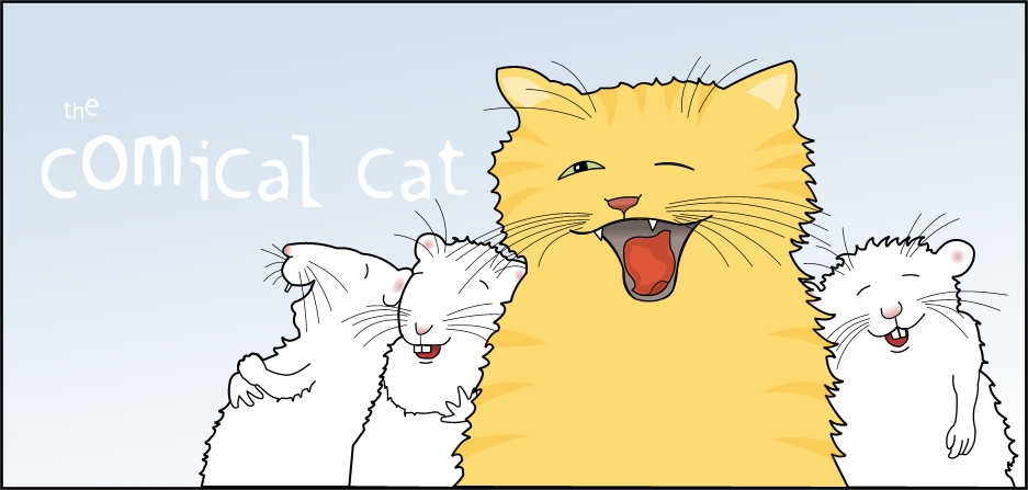 comical cat